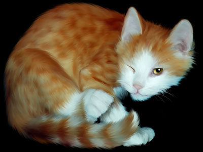 images of cats. Purchase Lovely Cats